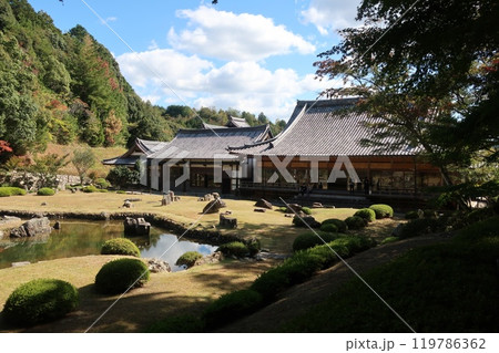 どんぐりが3つ どんぐりが3つ 119786362