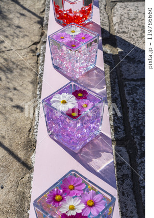 般若寺のコスモスグラスキューブ 119786660