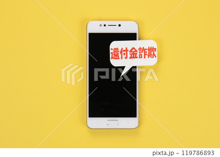 還付金詐欺　イメージ写真 119786893