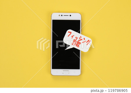 フィッシング詐欺　イメージ写真 119786905