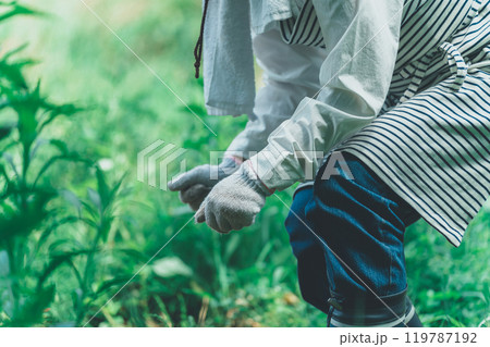 畑仕事　家庭菜園　ガーデニング 119787192