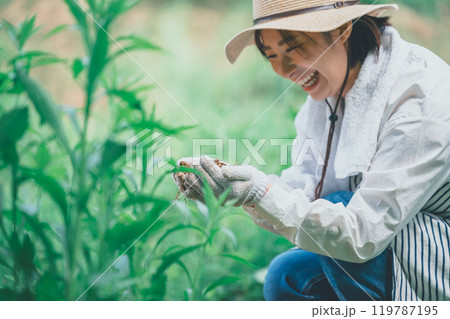 自然農法 119787195