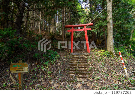 ヒバの巨樹「十二本ヤス」入口 五所川原市 青森県 ヒバの巨樹「十二本ヤス」入口 五所川原市 青森県 119787262