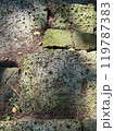 苔むした石 119787383
