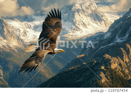 Above a mountain range, a majestic eagle soars with wings spread wide, showcasing wildlife 119787454