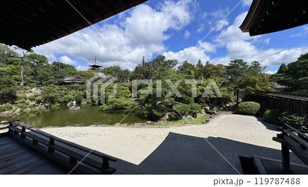 京都 仁和寺 五重塔 京都 仁和寺 五重塔 119787488