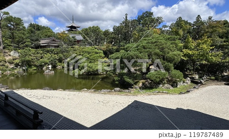 京都 仁和寺 五重塔 京都 仁和寺 五重塔 119787489