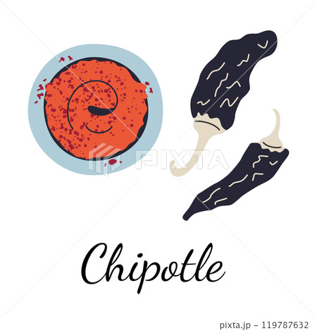 Vector illustration of chipotle chili powder, hot chili sauce and dried peppers in flat cartoon style. Perfect for culinary, Mexican cuisine packaging, and seasoning related designs 119787632