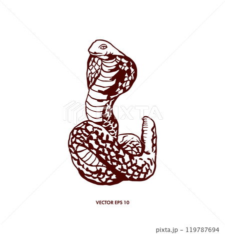Snake, cobra. Symbol of the new year. Hand drawn vector illustration in graphic style. For design of postcards, banners, tattoos, posters, invitations 119787694