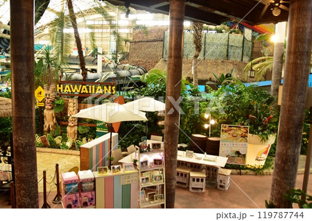 福島県 スパリゾートハワイアンズのウオーターパーク 福島県 スパリゾートハワイアンズのウオーターパーク 119787744