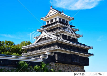 中津城　 119787825