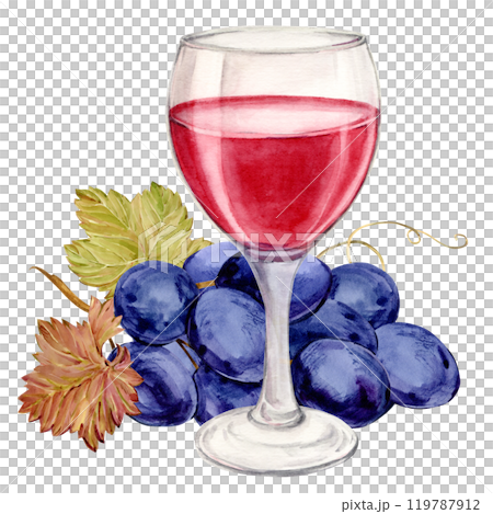 Glass of red wine and blue grapes. Illustration of a bunch of grapes with purple berries and leaves lying on a table. Clipart for wine labels, winery, cafe, restaurant. Glass of red wine and blue grapes. Illustration of a bunch of grapes with purple berries and leaves lying on a table. Clipart for wine labels, winery, cafe, restaurant. 119787912