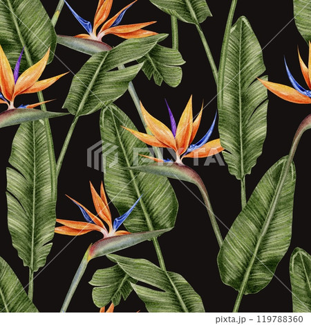 Tropical flowers strelitzia and leaves palm seamless pattern on black background. Watercolor illustration for textile, fabric, wallpaper, card, packaging, party. Tropical flowers strelitzia and leaves palm seamless pattern on black background. Watercolor illustration for textile, fabric, wallpaper, card, packaging, party. 119788360