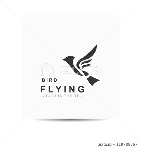 Flying Bird modern logo design isolated white background template illustration 119788367