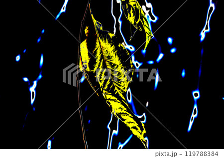 Abstract background of neon lights. Yellow leaf on a black background. 119788384