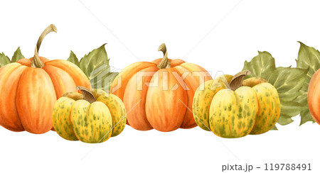 Ripe pumpkins in orange and yellow colors watercolor seamless border on white. Horizontal endless background for autumn harvest gourds designs and Thanksgiving day greeting cards. October vegetables 119788491