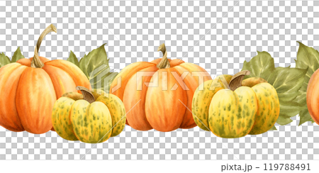 Ripe pumpkins in orange and yellow colors watercolor seamless border on white. Horizontal endless background for autumn harvest gourds designs and Thanksgiving day greeting cards. October vegetables 119788491