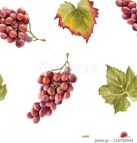 Watercolor purple black grapes bunch with green leaves seamless pattern on white. Ripe fruit branches for fall harvest and winery designs. Juicy berries repeat background 119788492