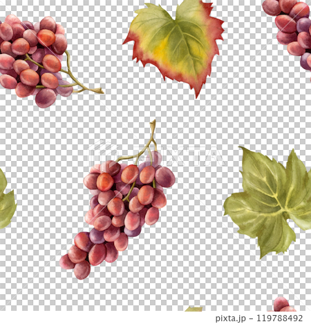 Watercolor purple black grapes bunch with green leaves seamless pattern on white. Ripe fruit branches for fall harvest and winery designs. Juicy berries repeat background Watercolor purple black grapes bunch with green leaves seamless pattern on white. Ripe fruit branches for fall harvest and winery designs. Juicy berries repeat background 119788492