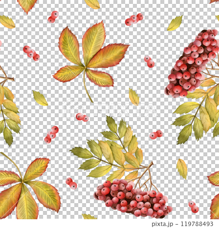 Rowan red berries branch with yellow green autumn leaves watercolor seamless pattern. Fall repeat background for forest and woodland designs in warm colors Rowan red berries branch with yellow green autumn leaves watercolor seamless pattern. Fall repeat background for forest and woodland designs in warm colors 119788493