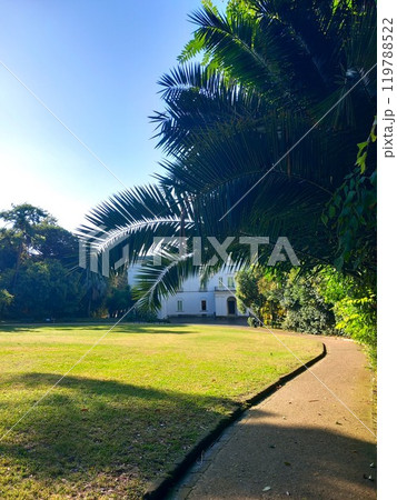 road with paslmame leading to white mansion 119788522
