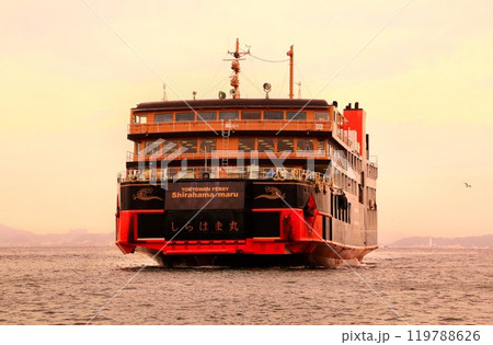 浦賀水道に現れた黒船… 東京湾フェリー『しらはま丸』 浦賀水道に現れた黒船… 東京湾フェリー『しらはま丸』 119788626