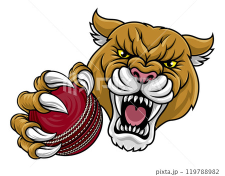 Cougar Panther Mountain Lion Puma Cricket Mascot Cougar Panther Mountain Lion Puma Cricket Mascot 119788982
