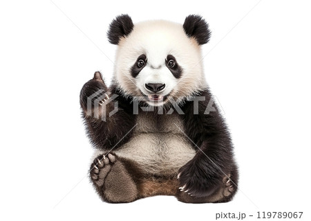 AI-generated item. A cute little panda giving the thumbs up on a transparent background. 119789067