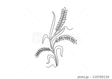Single continuous line drawing whole healthy organic wheat grain for farm logo identity. Fresh staple food concept for breakfast cereal icon. Dynamic one line draw graphic design vector illustration Single continuous line drawing whole healthy organic wheat grain for farm logo identity. Fresh staple food concept for breakfast cereal icon. Dynamic one line draw graphic design vector illustration 119789130