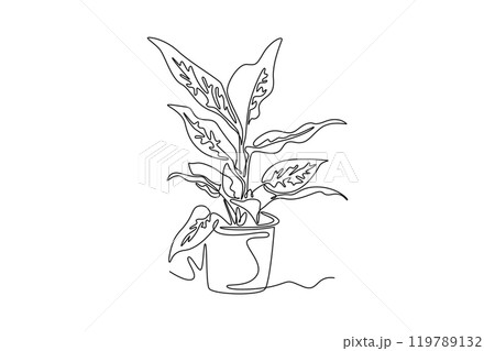 Single continuous line drawing cute potted tropical leaf aglaonema plant. Printable decorative houseplant concept for home wall decor ornament. Dynamic one line draw graphic design vector illustration Single continuous line drawing cute potted tropical leaf aglaonema plant. Printable decorative houseplant concept for home wall decor ornament. Dynamic one line draw graphic design vector illustration 119789132