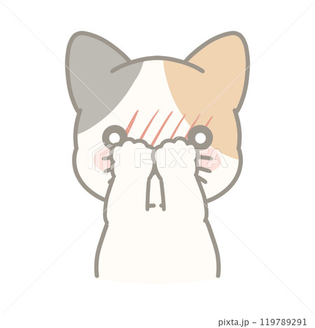恥ずかしい三毛猫のイラスト 恥ずかしい三毛猫のイラスト 119789291