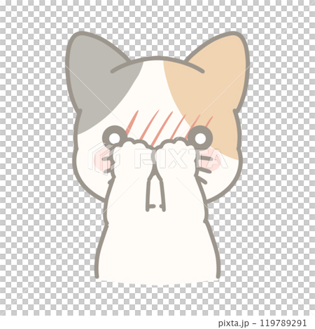 恥ずかしい三毛猫のイラスト 恥ずかしい三毛猫のイラスト 119789291