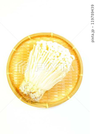 エノキタケ 榎茸 エノキダケ ナメタケ ナメススキ ユキノシタ キノコ きのこ エノキタケ 榎茸 エノキダケ ナメタケ ナメススキ ユキノシタ キノコ きのこ 119789439