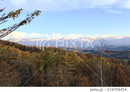 斜陽の頃の晩秋の北海道十勝岳連峰 119789454