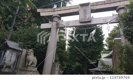 小野照崎神社、石造りの鳥居【東京・台東区】 119789769