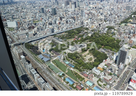 大阪市天王寺区のてんしば公園、天王寺動物園、天王寺美術館のある街並 大阪市天王寺区のてんしば公園、天王寺動物園、天王寺美術館のある街並 119789929