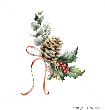 Pine cone with holly berry, red ribbon bow, pine and eucalyptus branches. Arrangement with watercolor hand drawn isolated vintage floral illustrations for Christmas winter design, cards, holiday print 119790550