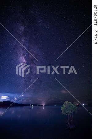 石垣島の星空と一本ヒルギ 119790929