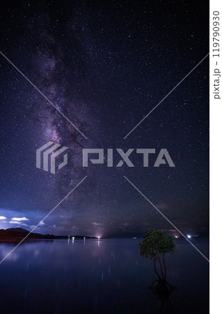 石垣島の星空と一本ヒルギ 石垣島の星空と一本ヒルギ 119790930