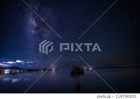 石垣島の星空と一本ヒルギ 119790933