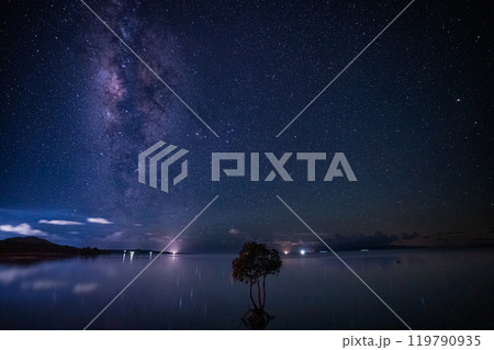 石垣島の星空と一本ヒルギ 119790935