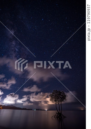 石垣島の星空と一本ヒルギ 119790937