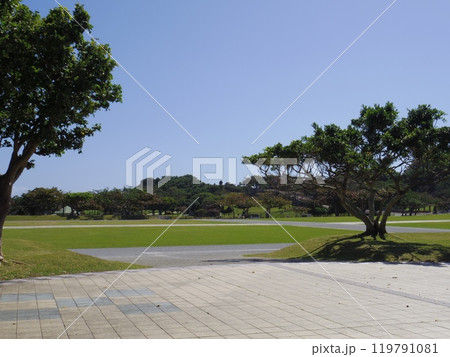 平和祈念公園(沖縄県糸満市) 平和祈念公園(沖縄県糸満市) 119791081