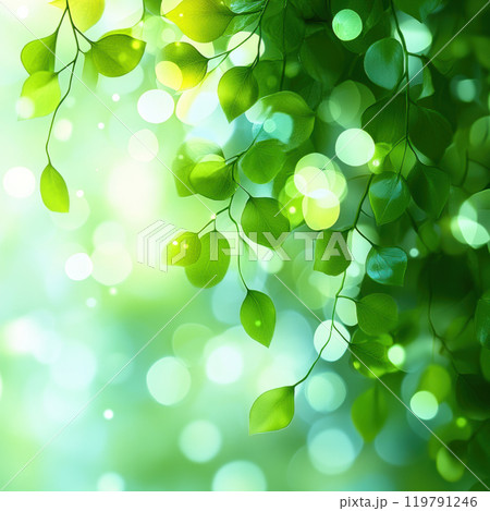 Lush green leaves with soft bokeh lights create serene atmosphere, evoking sense of tranquility and nature beauty Lush green leaves with soft bokeh lights create serene atmosphere, evoking sense of tranquility and nature beauty 119791246