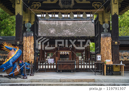 京都 豊国神社 国宝唐門から拝殿と本殿を望む 119791307