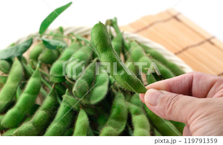 笊に盛り付けた枝付きの枝豆 ( 白バック ) 笊に盛り付けた枝付きの枝豆 ( 白バック ) 119791359
