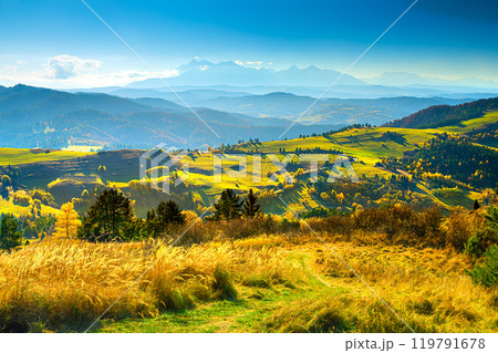Mountain landscape in the Pieniny National Park at the foot of the Tatra Mountains Mountain landscape in the Pieniny National Park at the foot of the Tatra Mountains 119791678