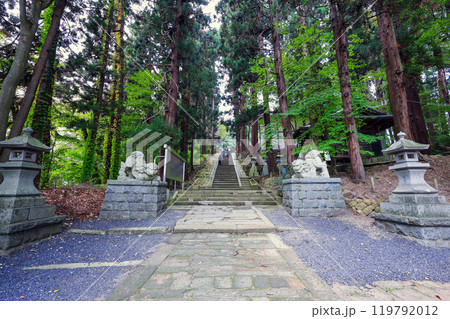 静寂な参道 静寂な参道 119792012