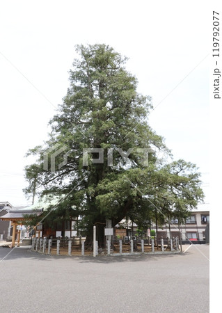 妙行寺(さいたま) 妙行寺(さいたま) 119792077