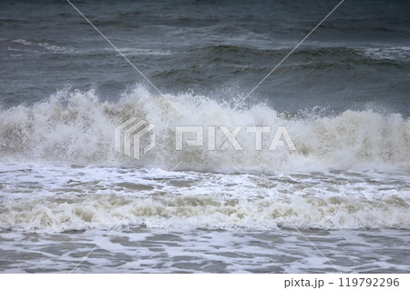 海辺の風景(九十九里浜) 海辺の風景(九十九里浜) 119792296